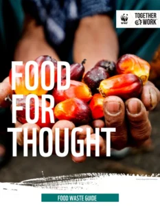 Food for Thought resource thumbnail